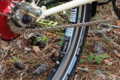 Ryde Big Bull 26" Felge mit Schwalbe Mondial Faltreifen
